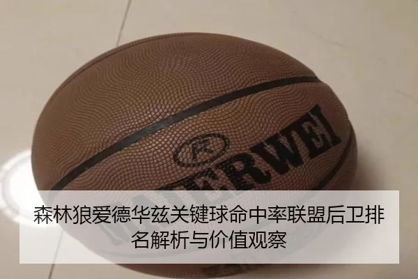 森林狼爱德华兹关键球命中率联盟后卫排名解析与价值观察（kaiyun）